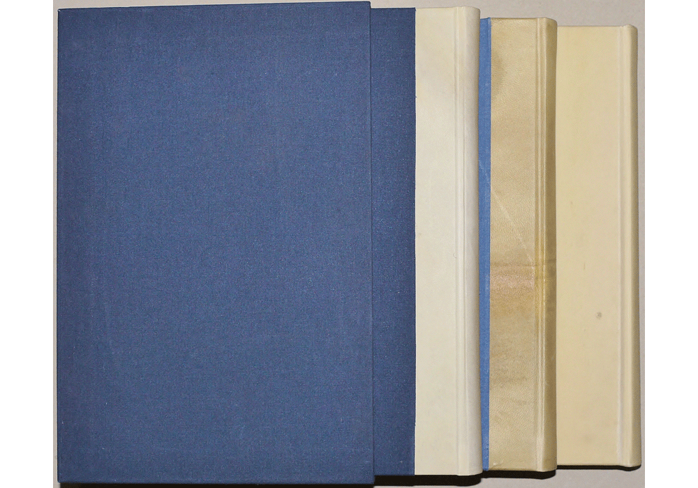 Llibre dels Feyts-rey Jaime I de Aragón-Celesti Destorrents-Manuscript-Illuminated codex-facsimile book-Vicent García Editores-11 Whole.